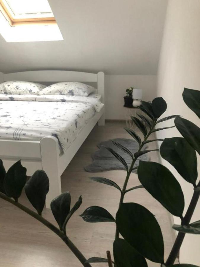 Peaceful Apartment Plužine Εξωτερικό φωτογραφία